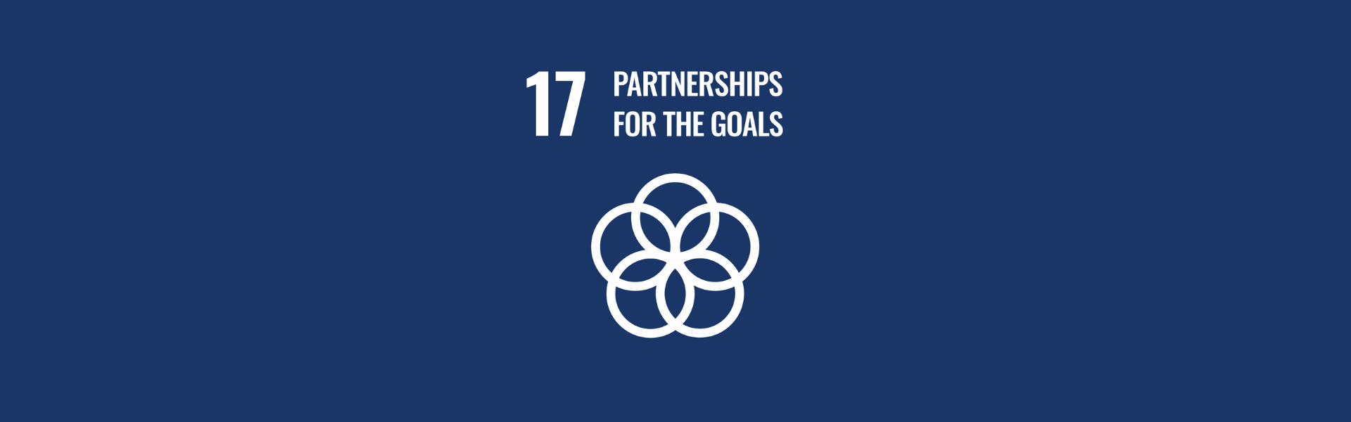 SDG 3 Banner