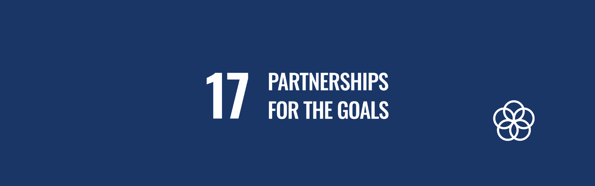 SDG 3 Banner