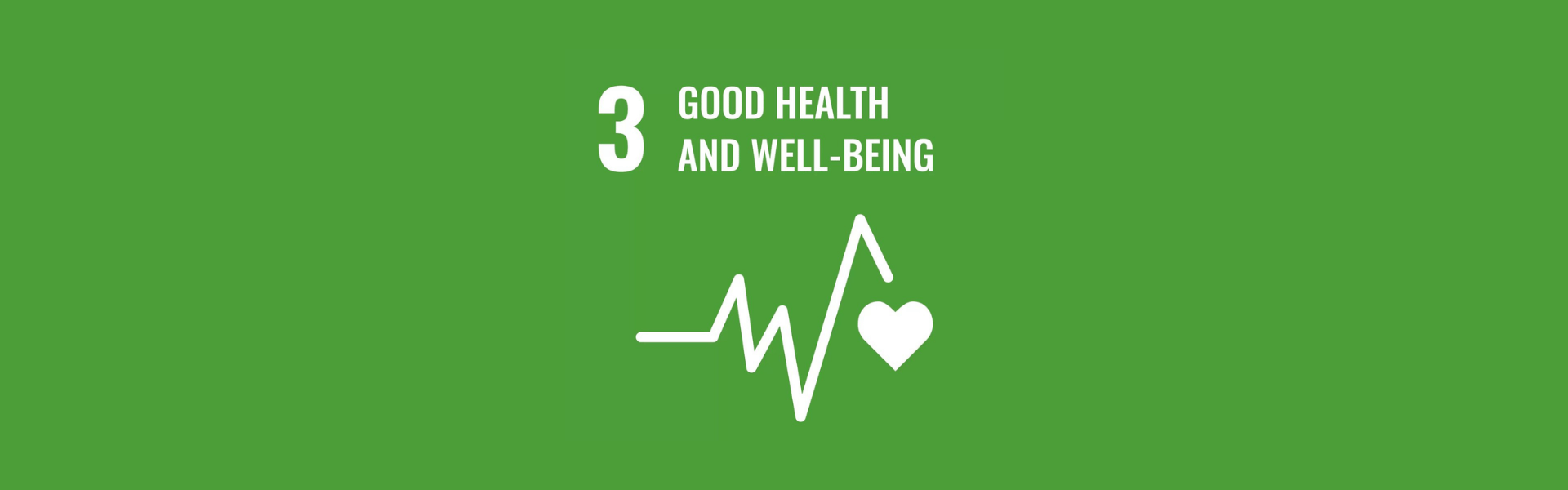 SDG 3 Banner